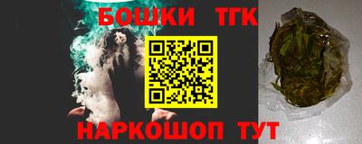 СК Сланцы