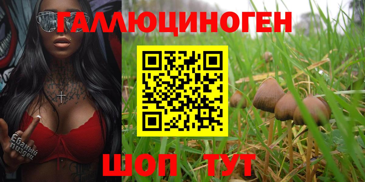 Галлюциногенные грибы прущие грибы  Вход с VPN  Рязань 