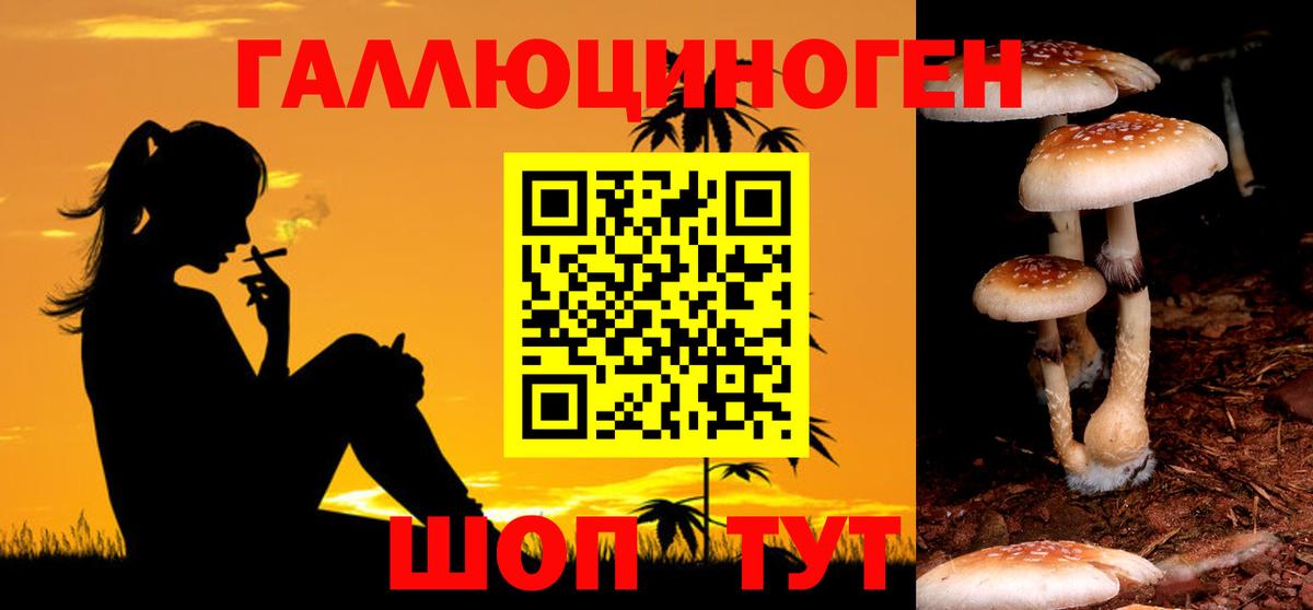 Галлюциногенные грибы прущие грибы Рязань